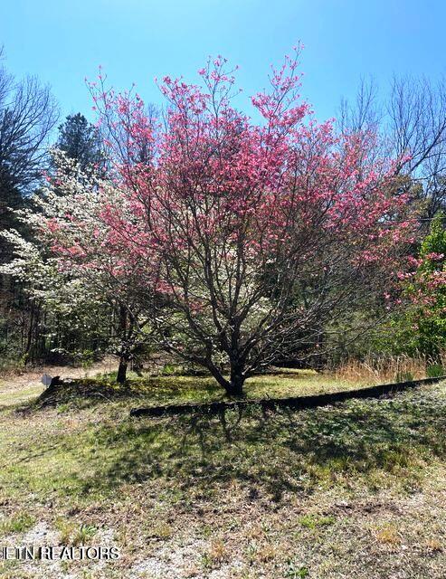 116 Old Doc Rogers Road Tellico Plains TN 37385