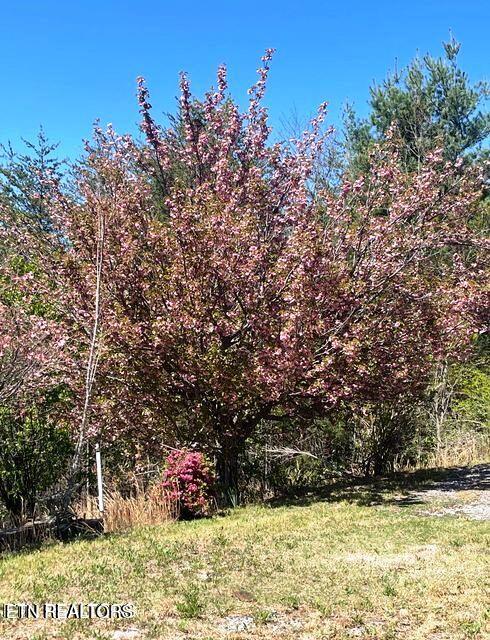 116 Old Doc Rogers Road Tellico Plains TN 37385