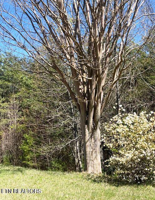 116 Old Doc Rogers Road Tellico Plains TN 37385