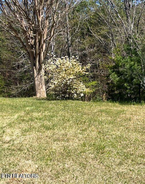 116 Old Doc Rogers Road Tellico Plains TN 37385
