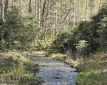 116 Old Doc Rogers Road Tellico Plains TN 37385