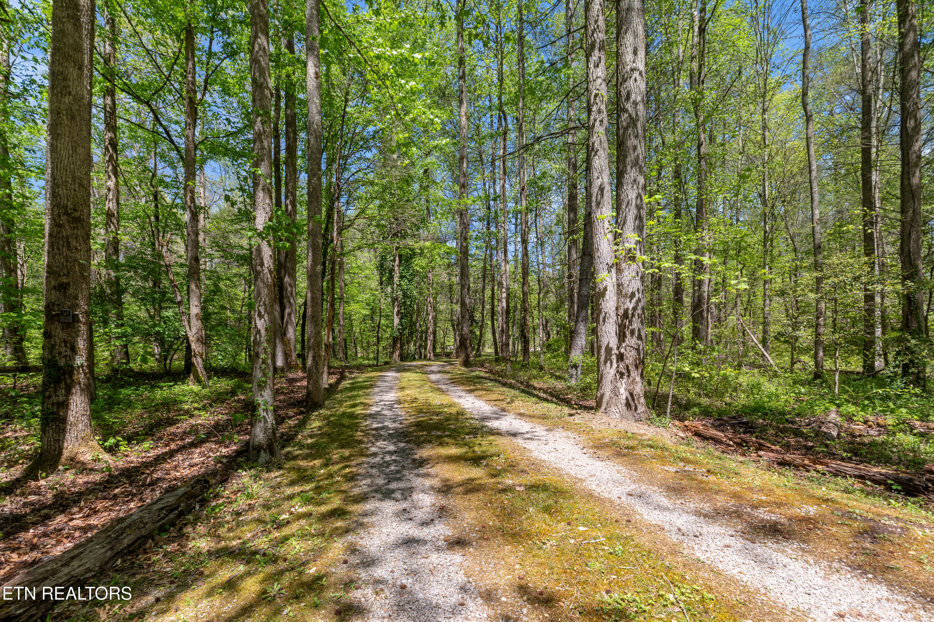 1256 E Millers Cove Road Walland TN 37886