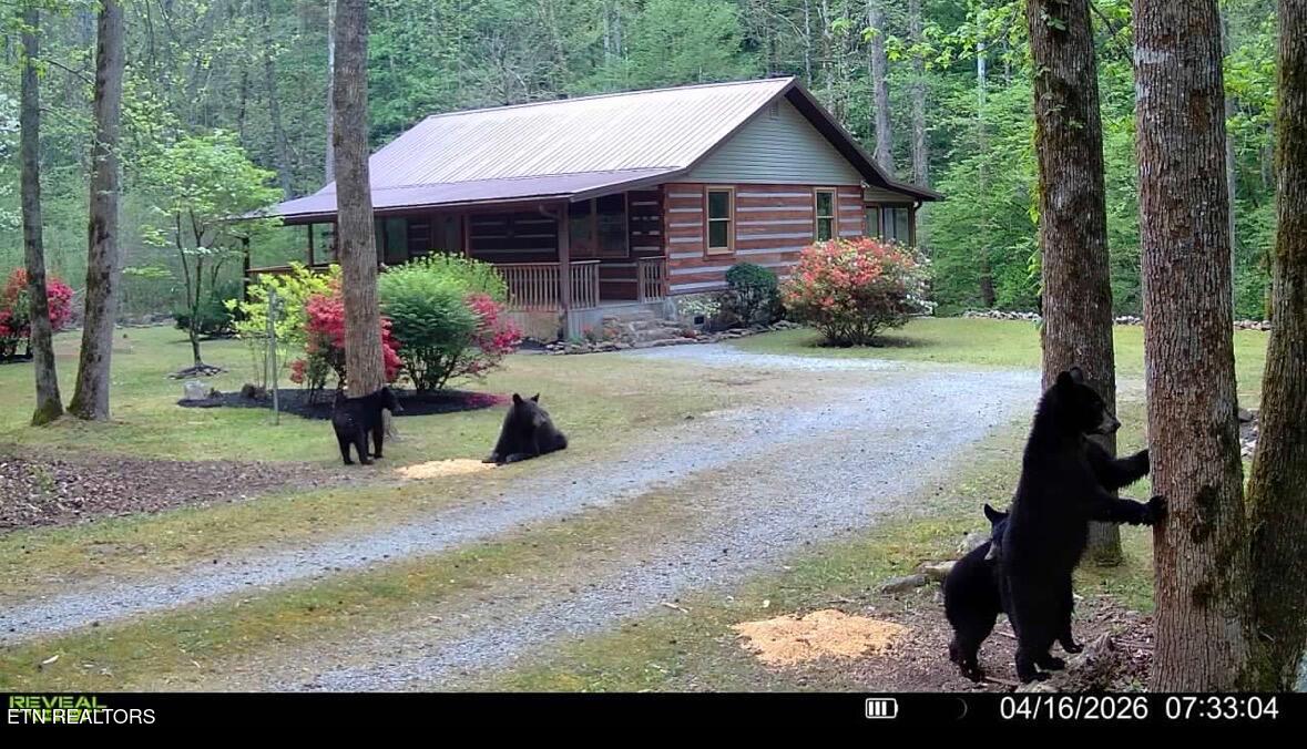1256 E Millers Cove Road Walland TN 37886