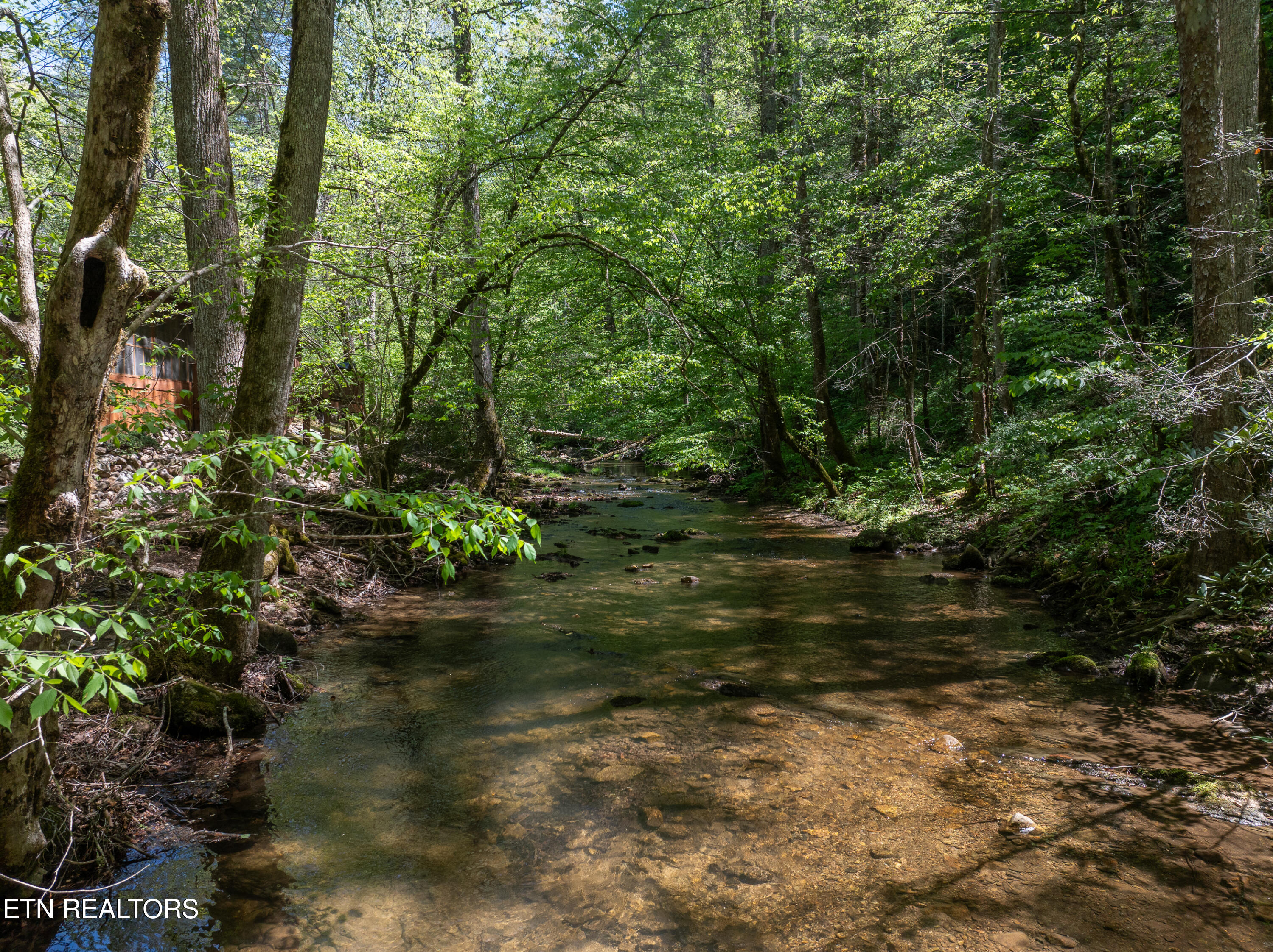 1256 E Millers Cove Road Walland TN 37886
