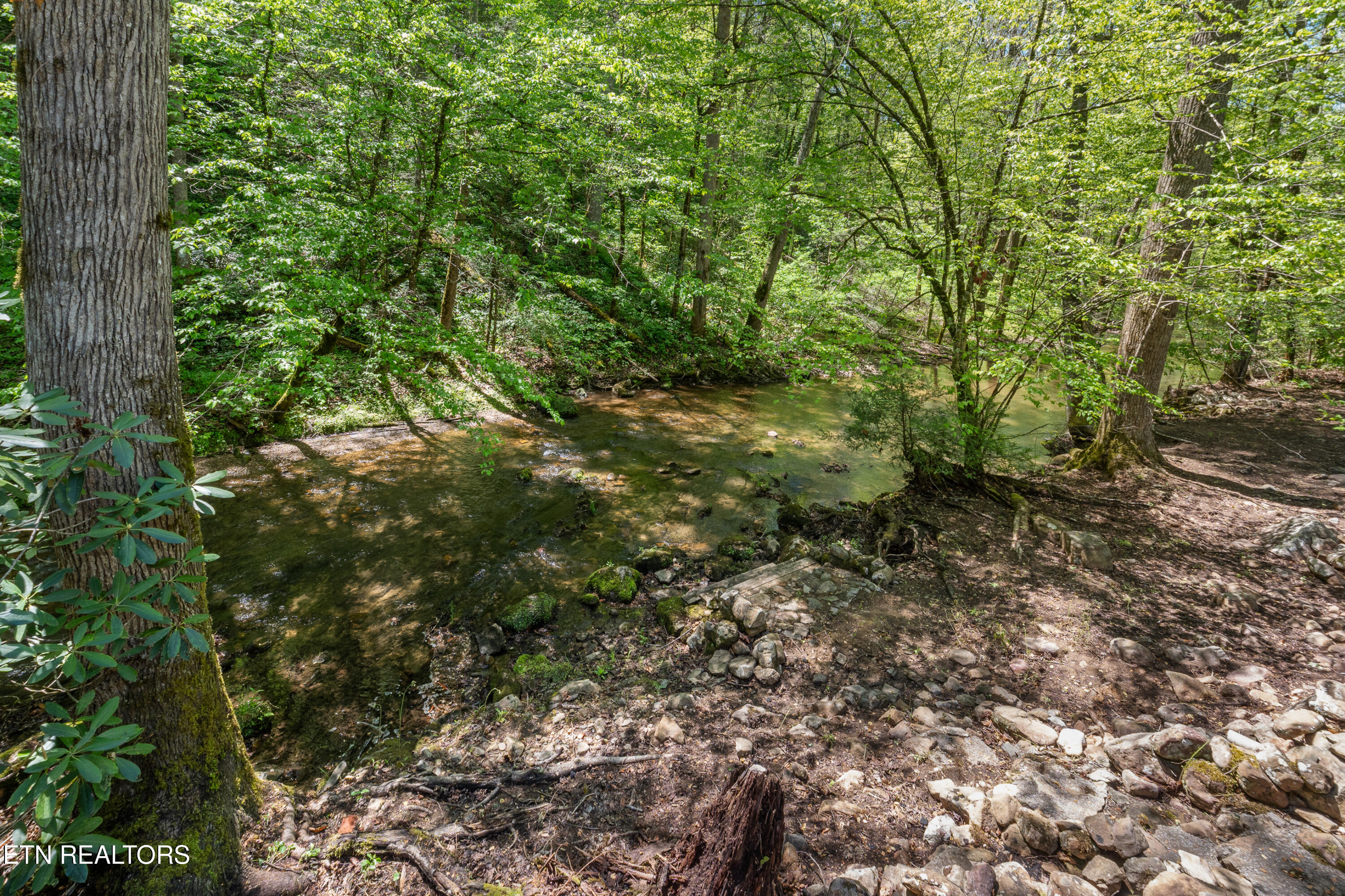 1256 E Millers Cove Road Walland TN 37886