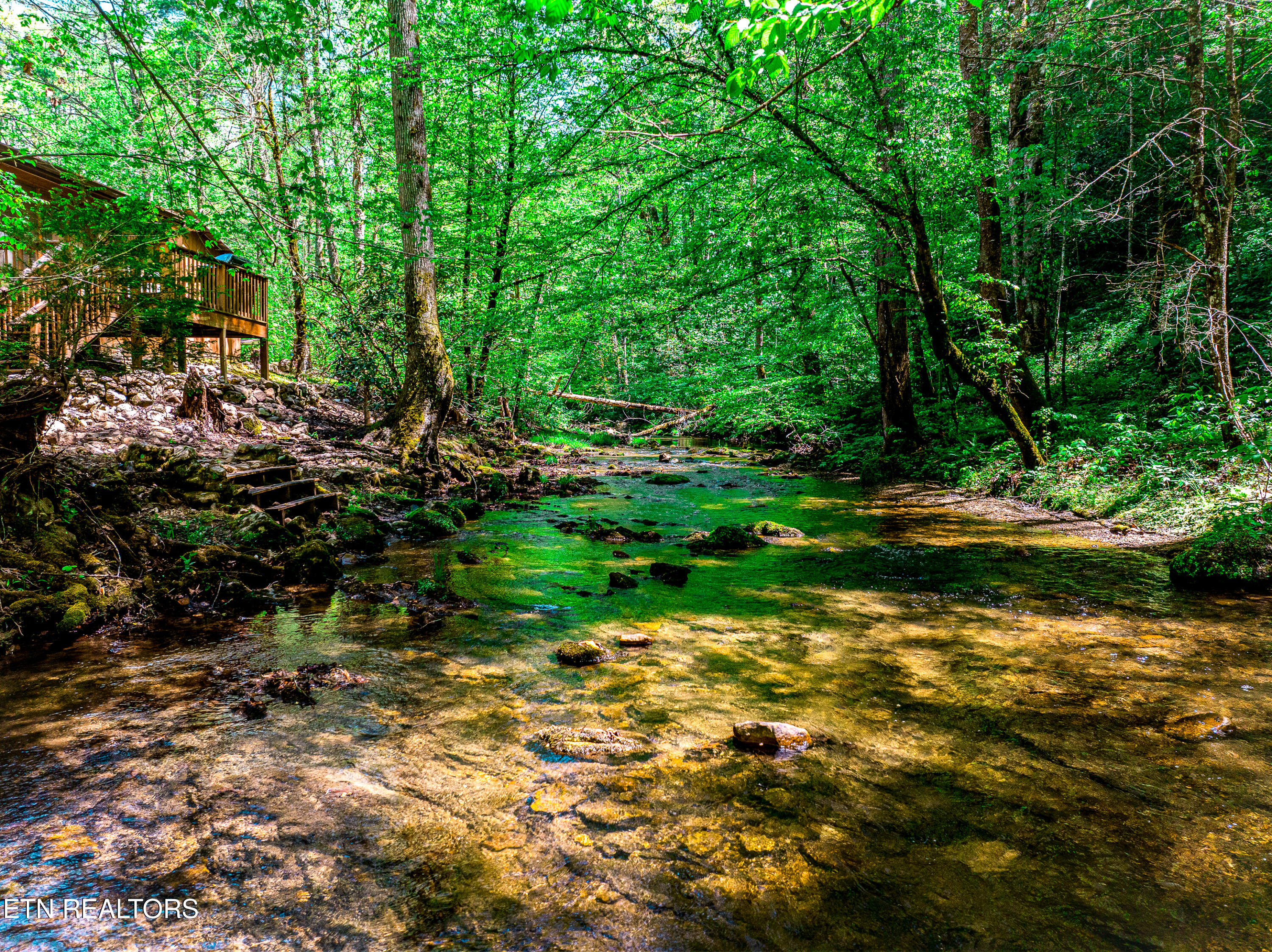 1256 E Millers Cove Road Walland TN 37886