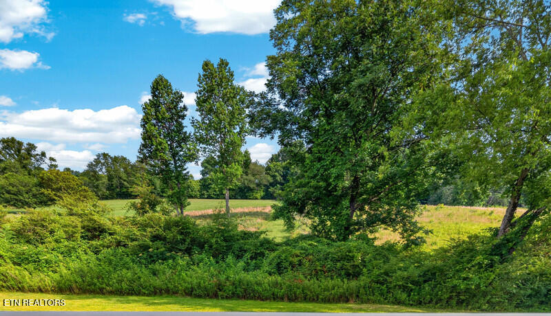 129 S Walden Drive Harriman TN 37748