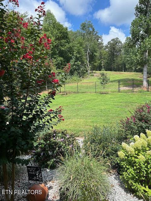 4790 Roane State Highway Rockwood TN 37854