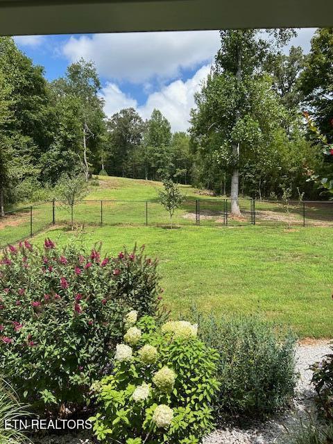 4790 Roane State Highway Rockwood TN 37854