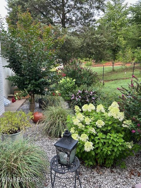 4790 Roane State Highway Rockwood TN 37854