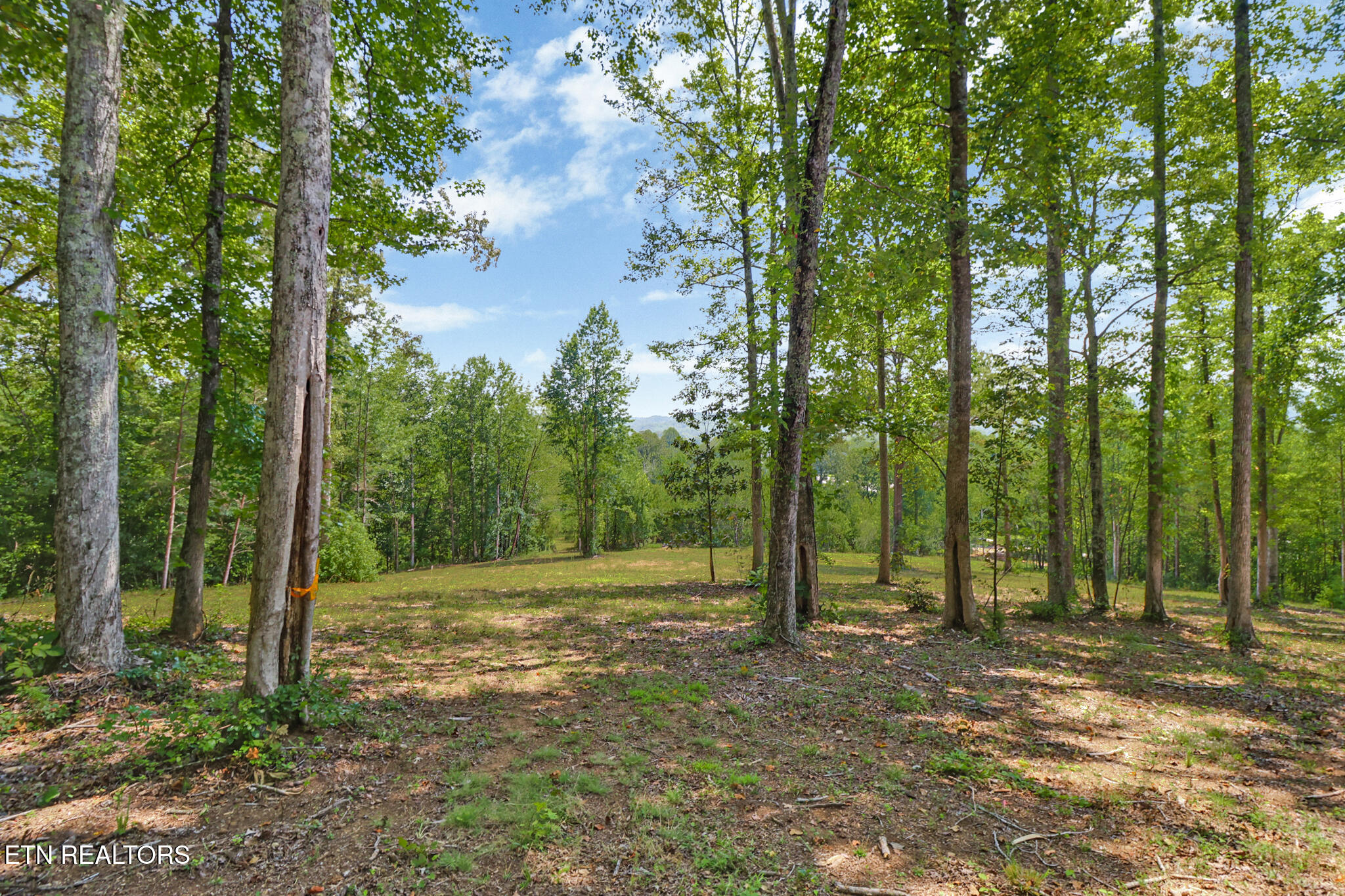 4790 Roane State Highway Rockwood TN 37854