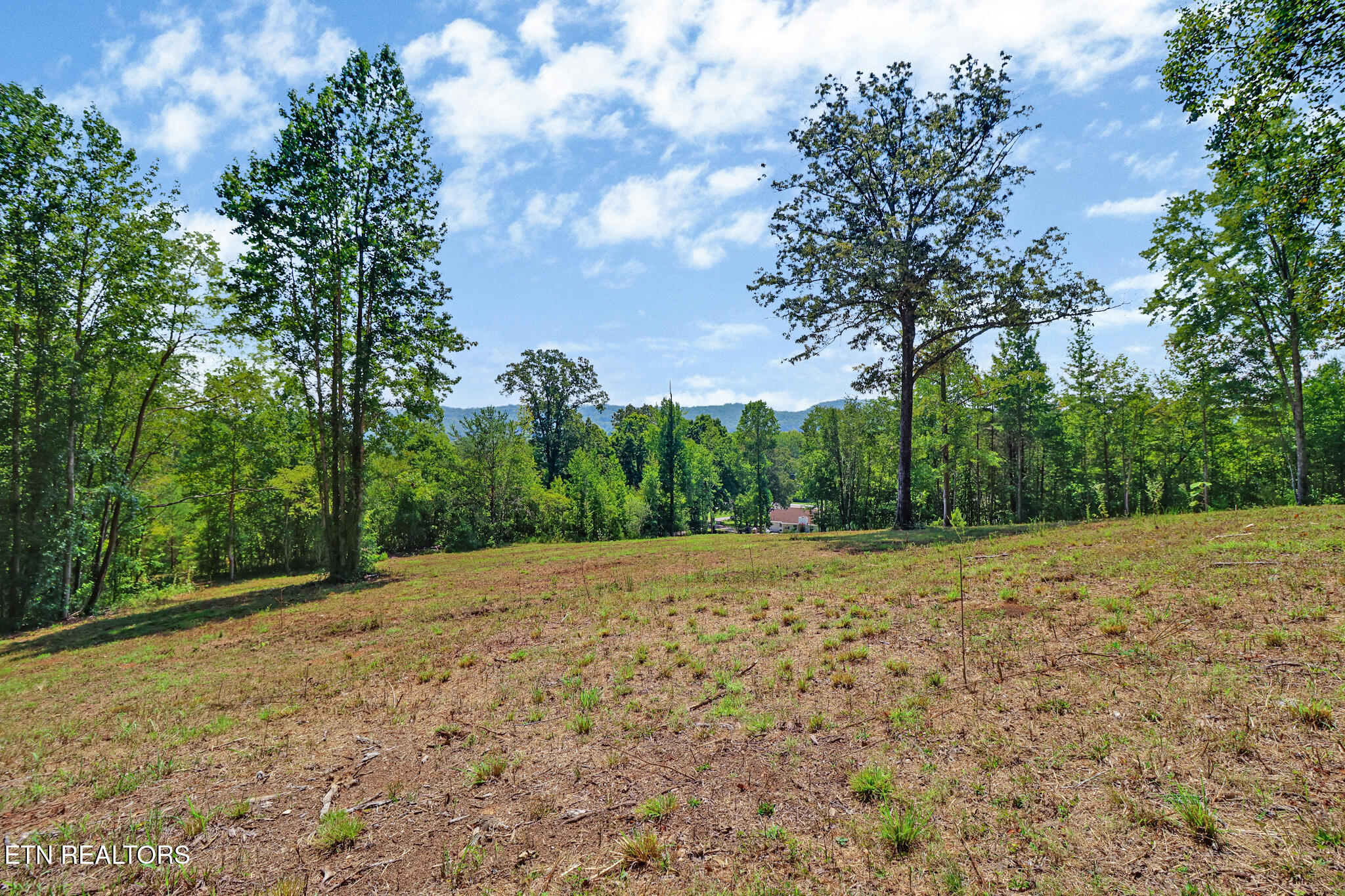 4790 Roane State Highway Rockwood TN 37854