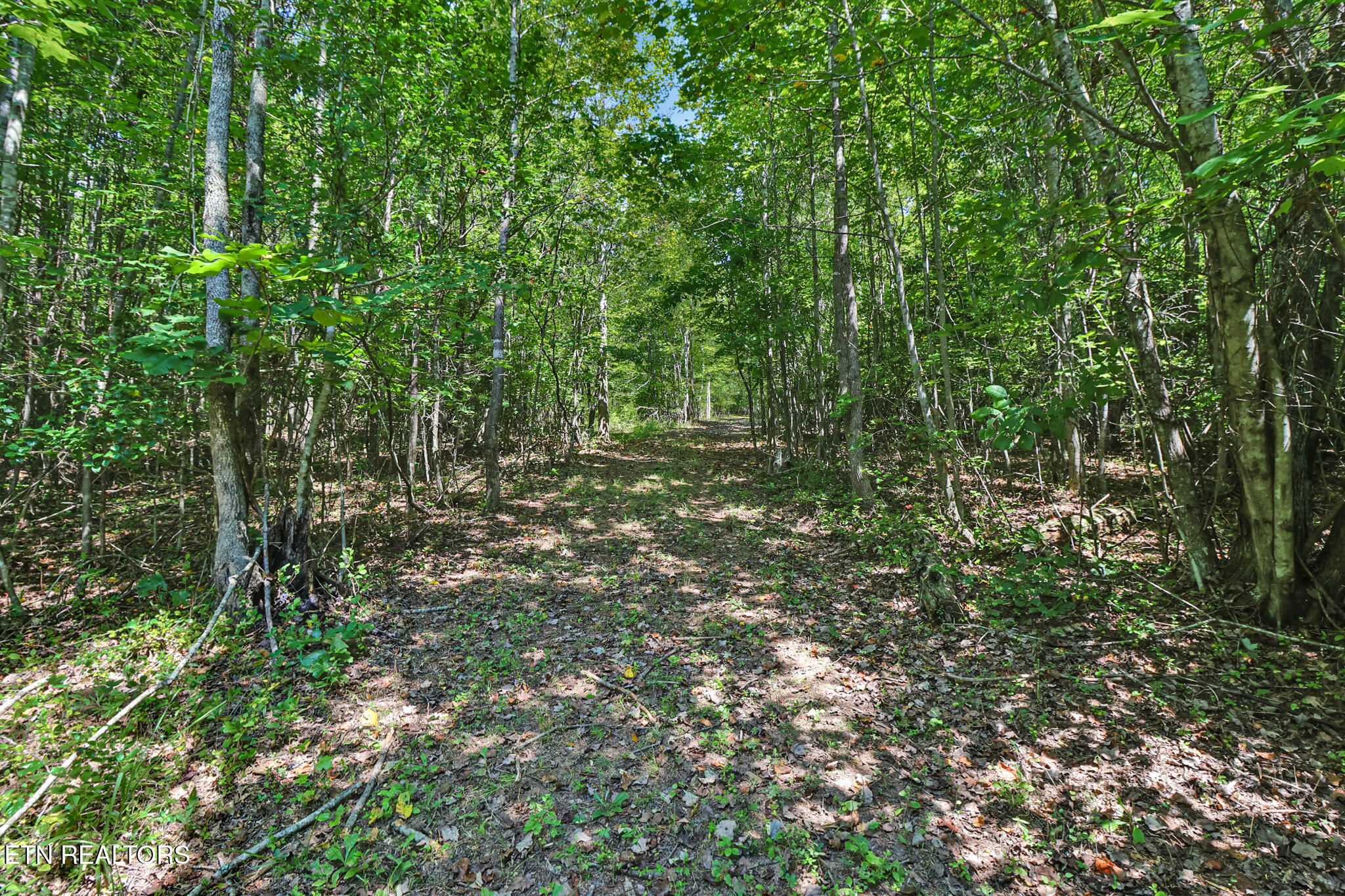 4790 Roane State Highway Rockwood TN 37854