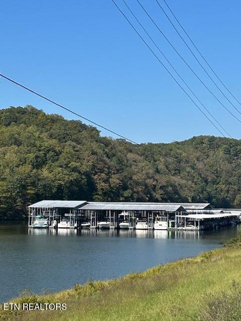 4790 Roane State Highway Rockwood TN 37854