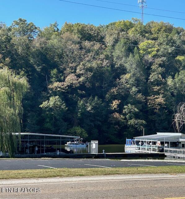 4790 Roane State Highway Rockwood TN 37854