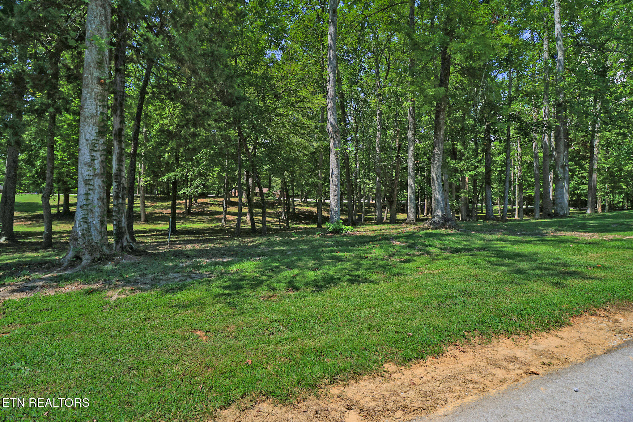 4790 Roane State Highway Rockwood TN 37854