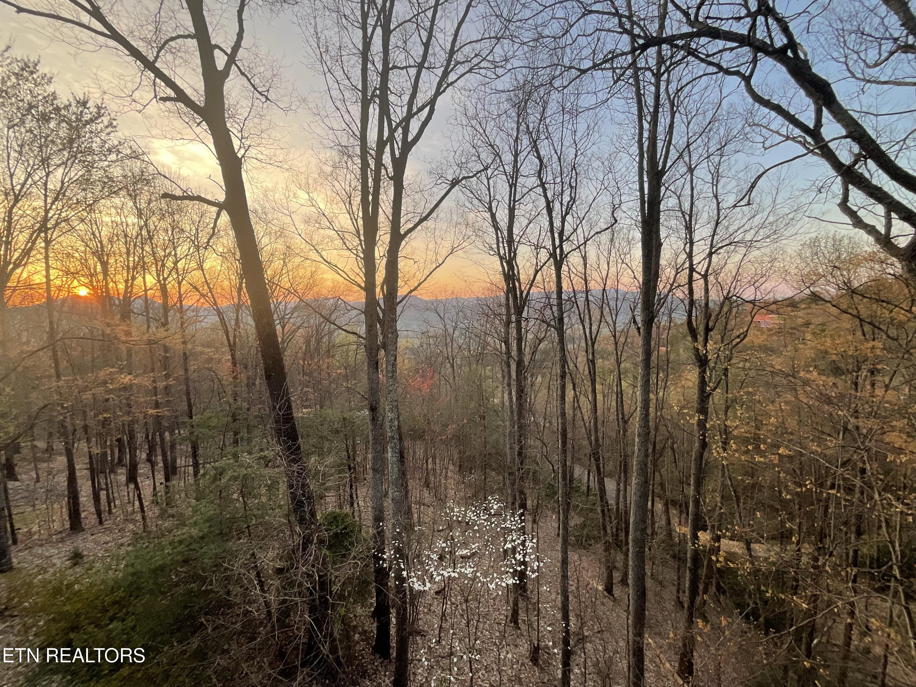 3120 Lexy Lane Sevierville TN 37862