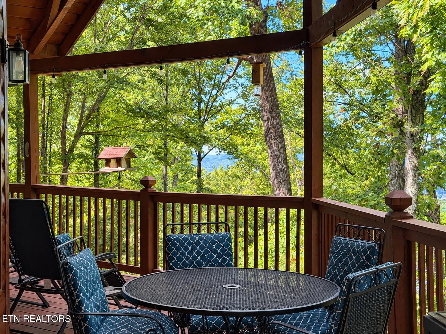 3120 Lexy Lane Sevierville TN 37862