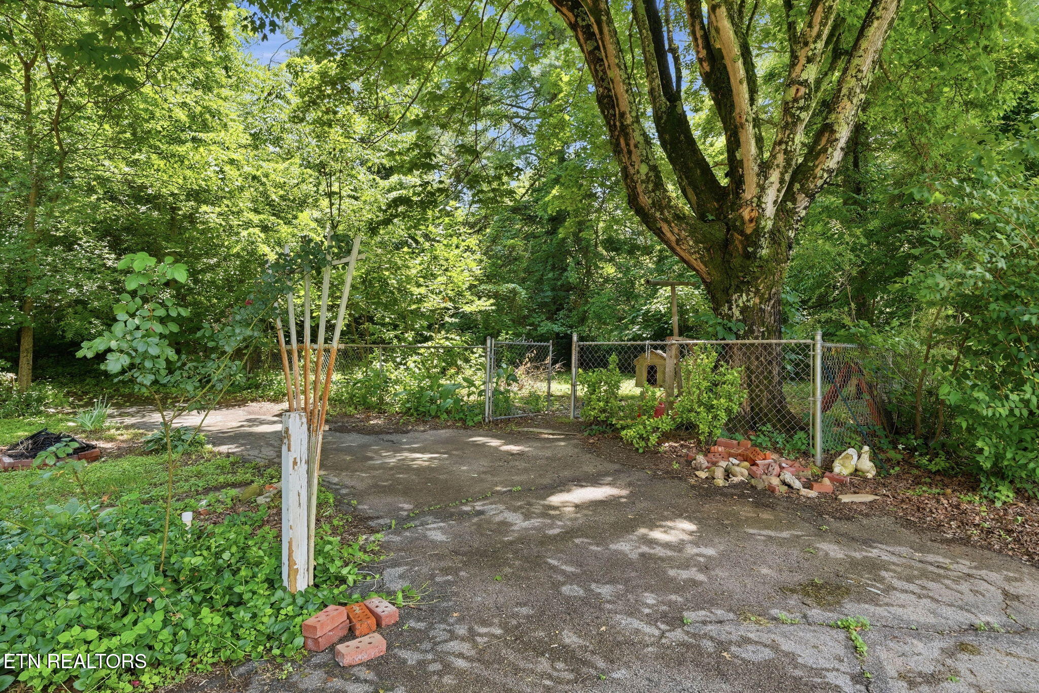 3992 Highway 92 Rutledge TN 37861