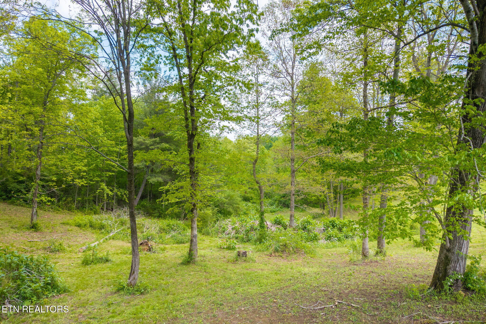 5996 Highway 70 N Crossville TN 38571