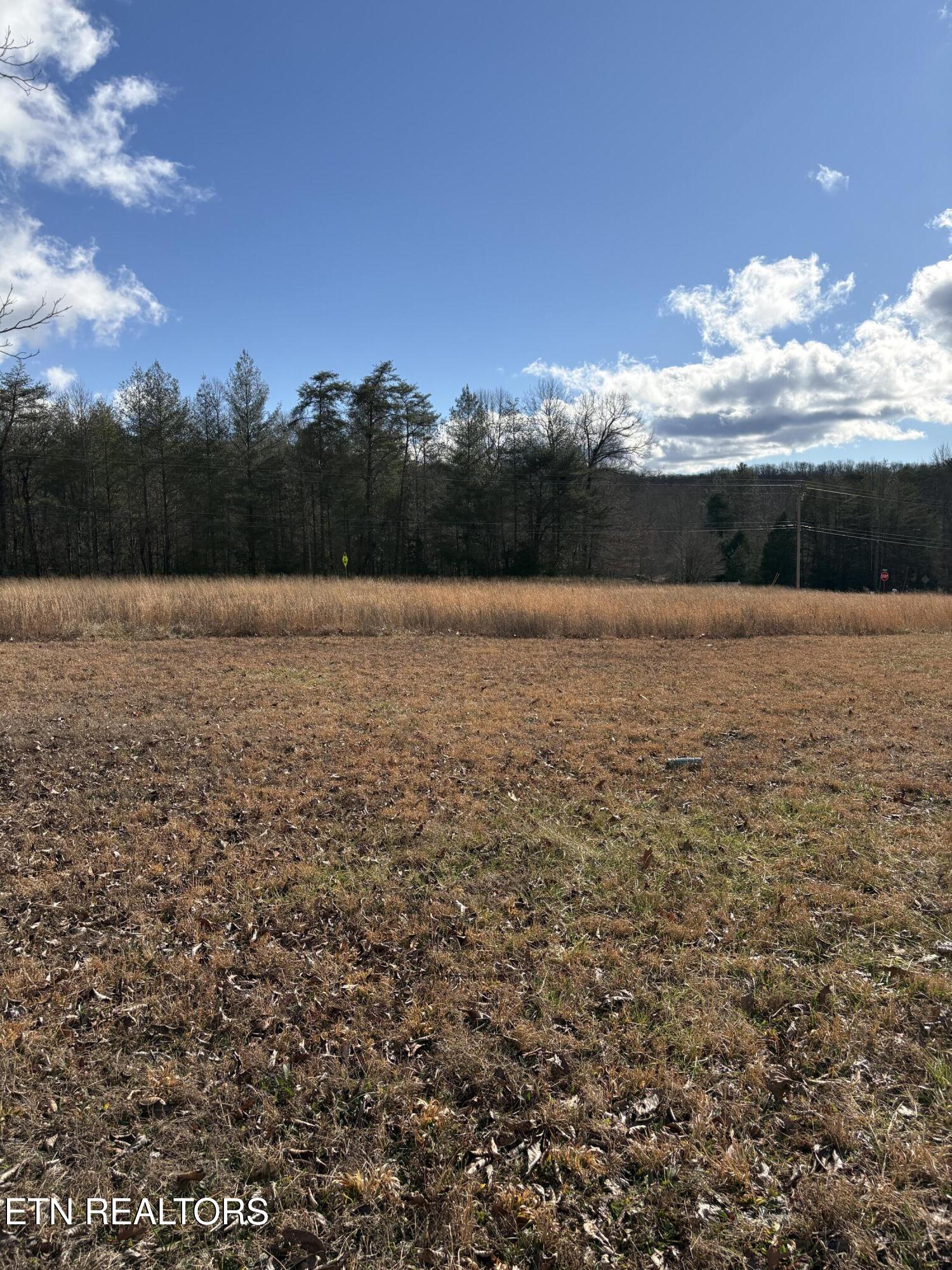 106 Swafford Road Spring City TN 37381