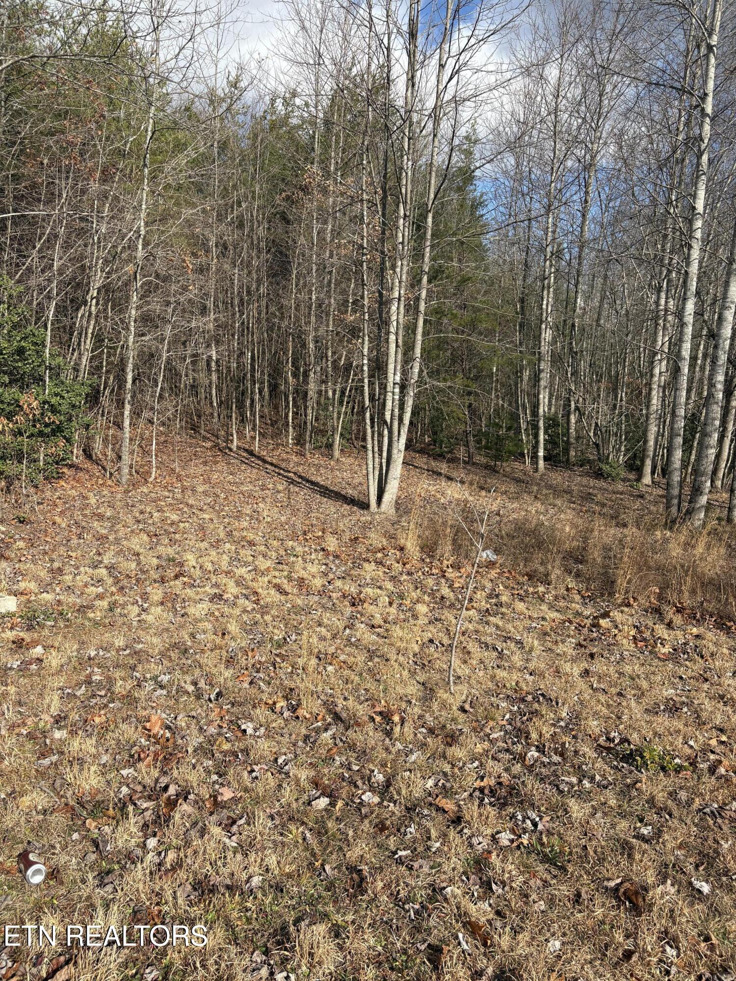 106 Swafford Road Spring City TN 37381