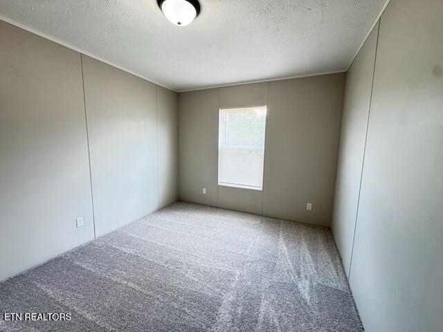 1670 Goodfield Road Decatur TN 37322