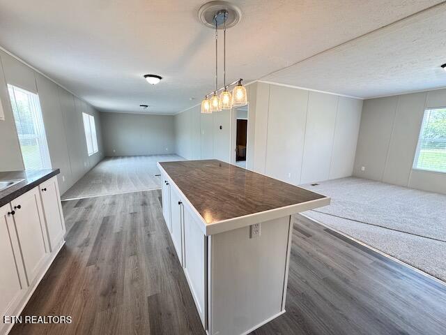 1670 Goodfield Road Decatur TN 37322