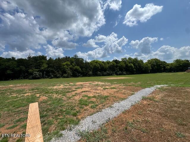 1670 Goodfield Road Decatur TN 37322