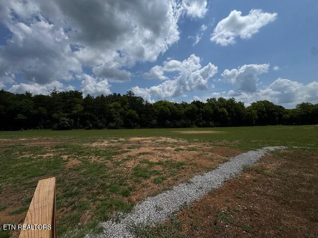 1670 Goodfield Road Decatur TN 37322