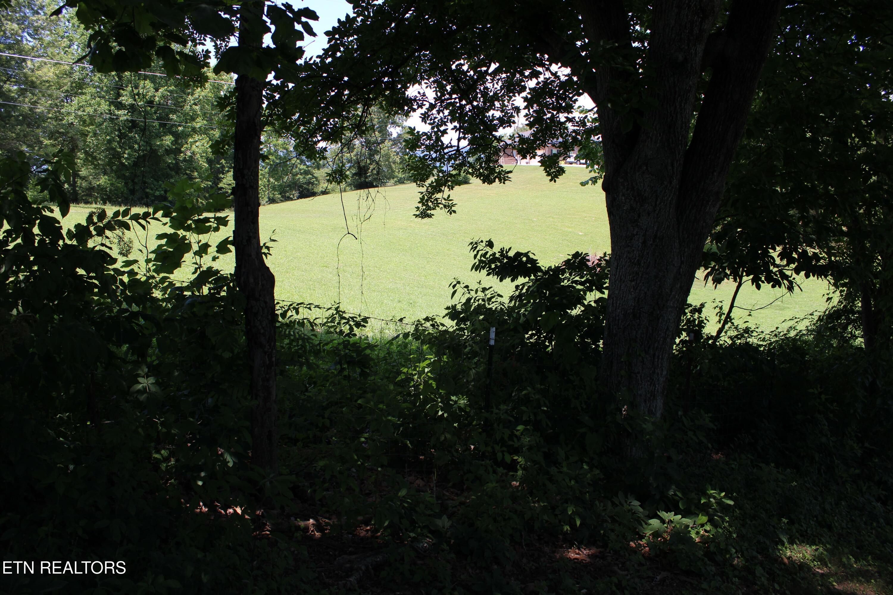 166 Andrew Lane Jacksboro TN 37757