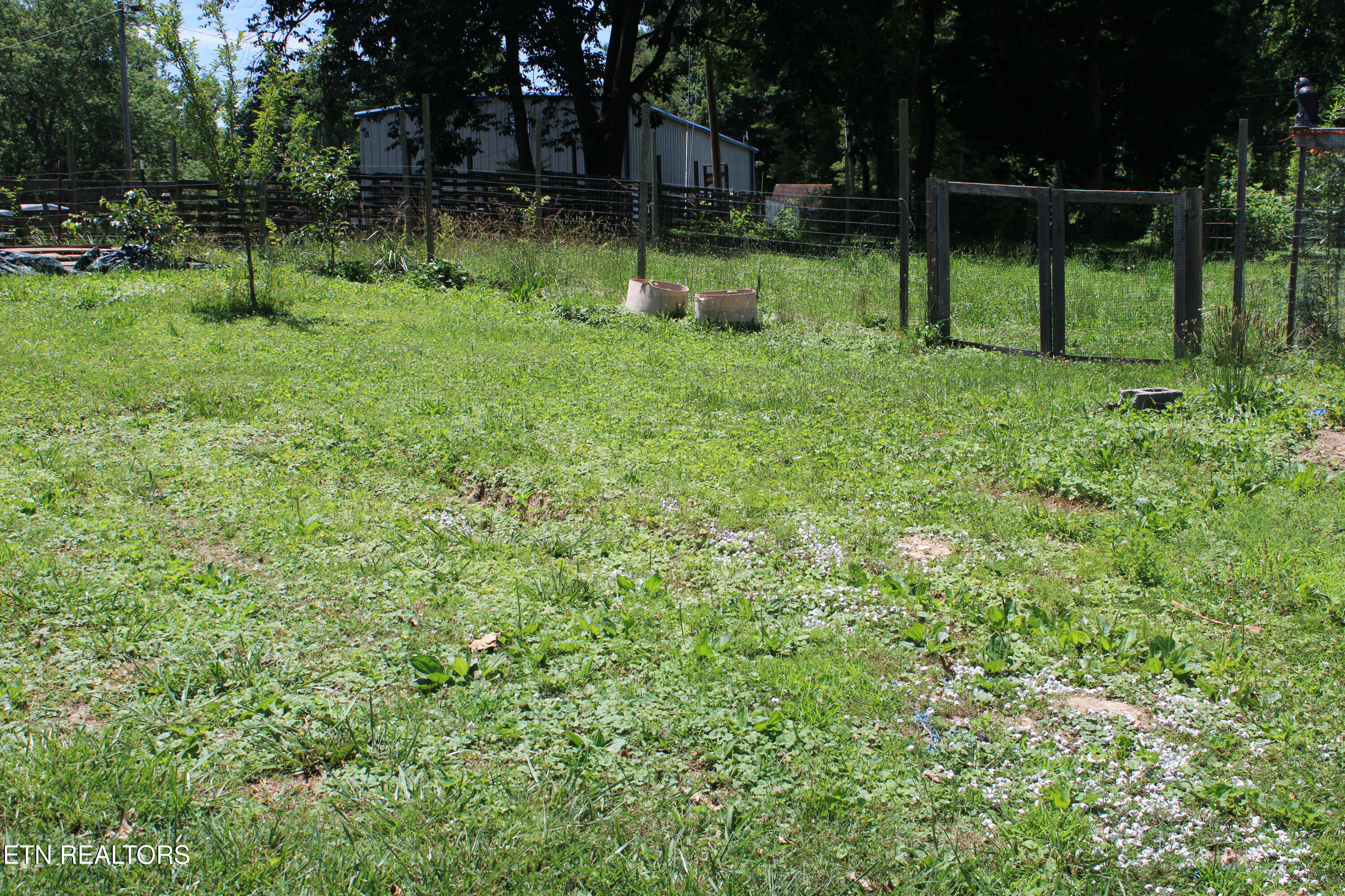 166 Andrew Lane Jacksboro TN 37757
