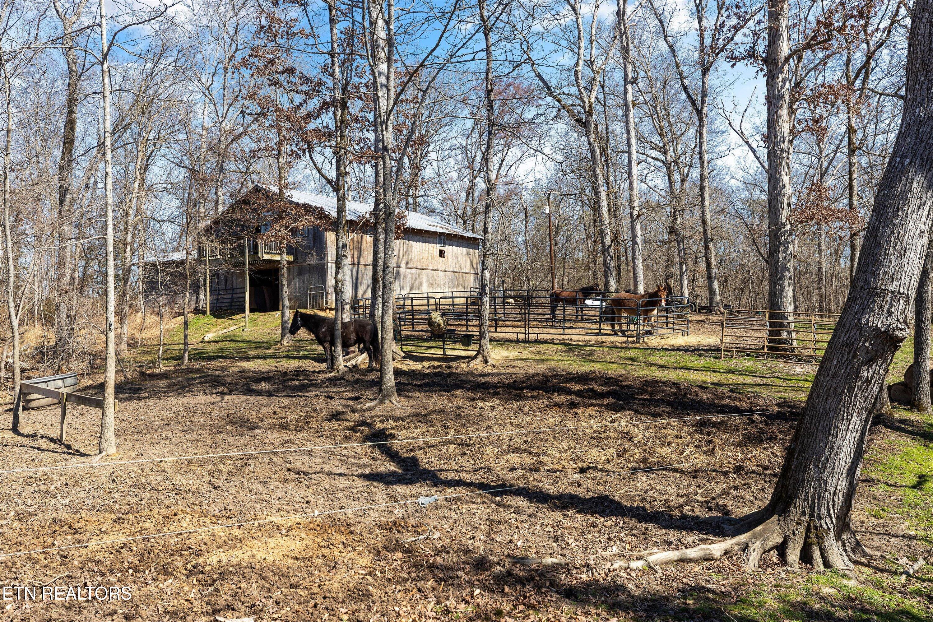 9111 Brownlow Newman Lane Knoxville TN 37914