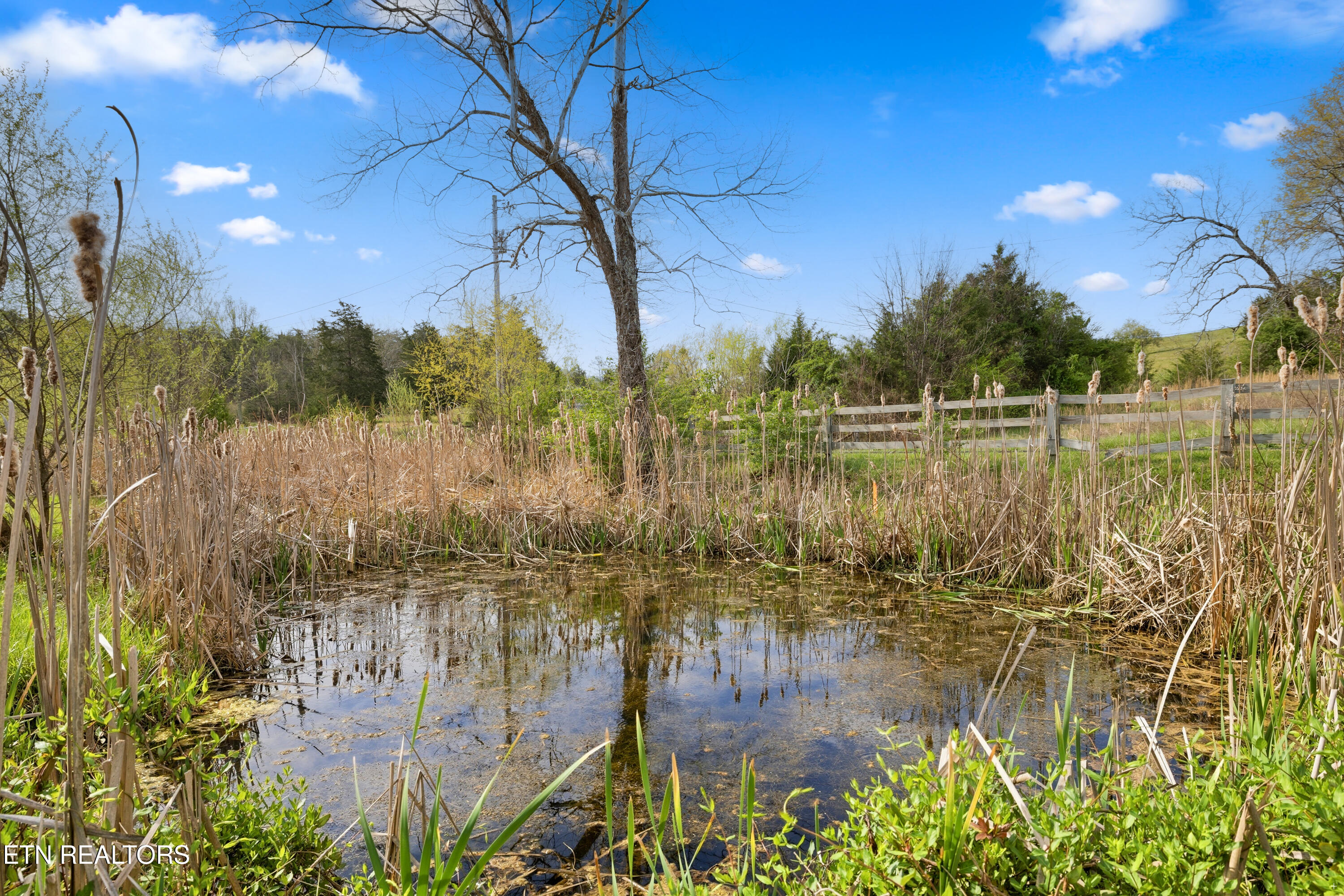 920 Jim Norton Loop Seymour TN 37865