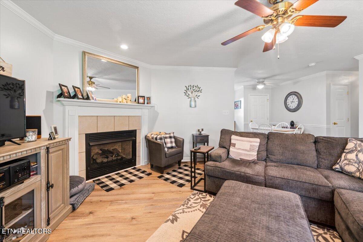 205 Matthew Lane Lafollette TN 37766