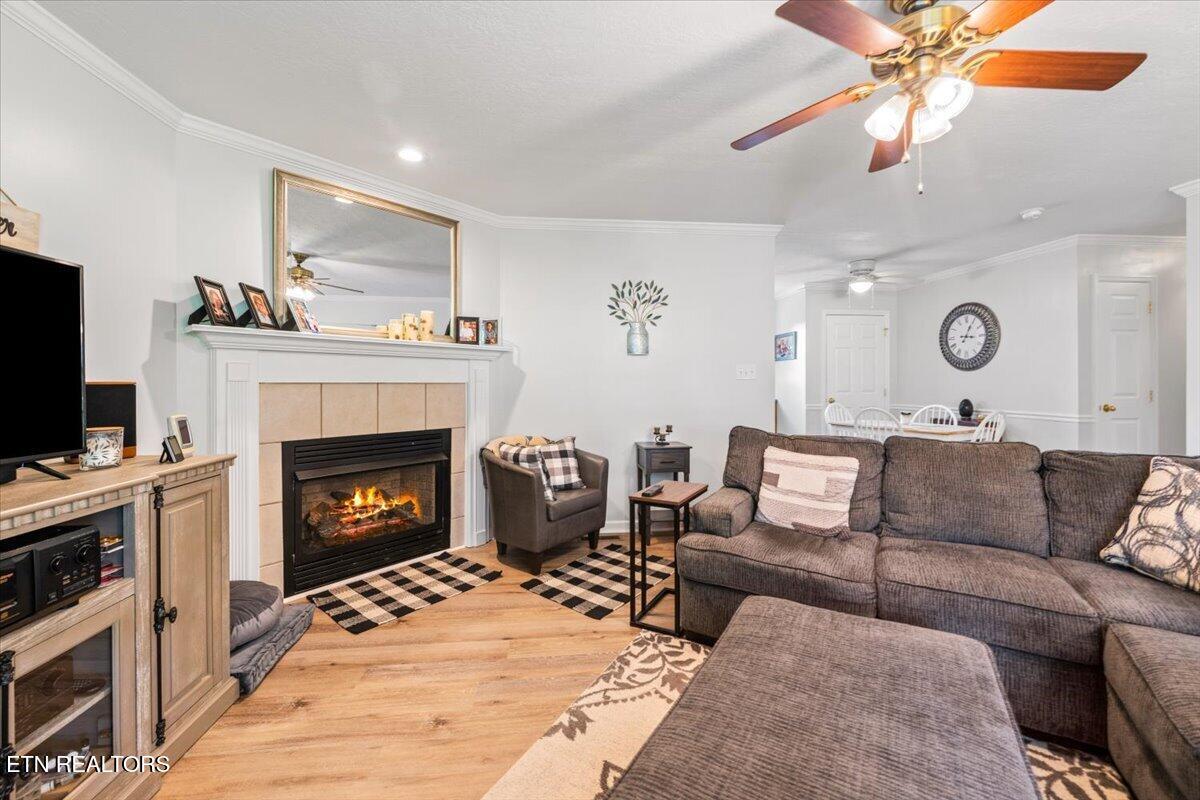 205 Matthew Lane Lafollette TN 37766