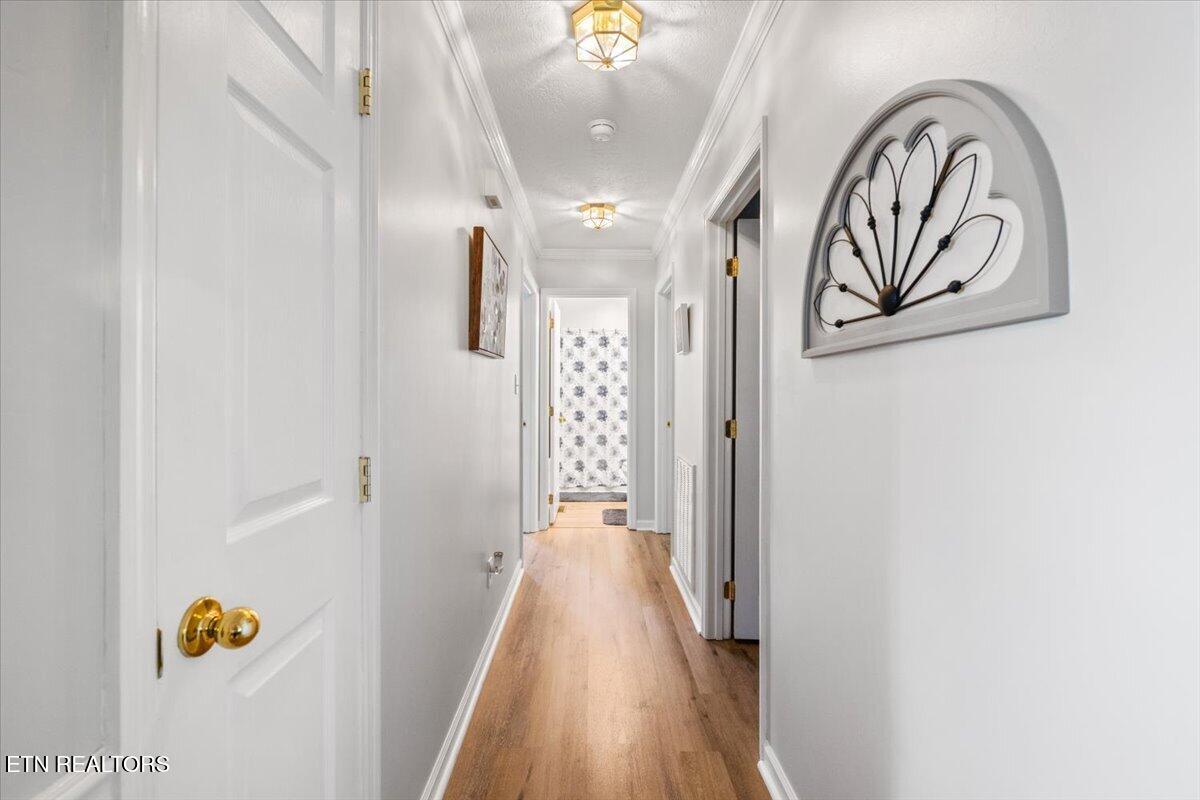 205 Matthew Lane Lafollette TN 37766