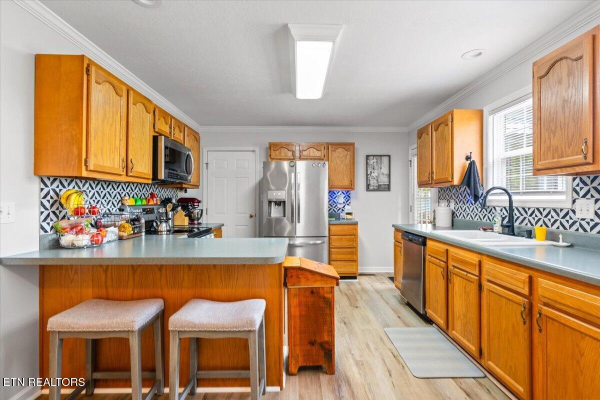 205 Matthew Lane Lafollette TN 37766