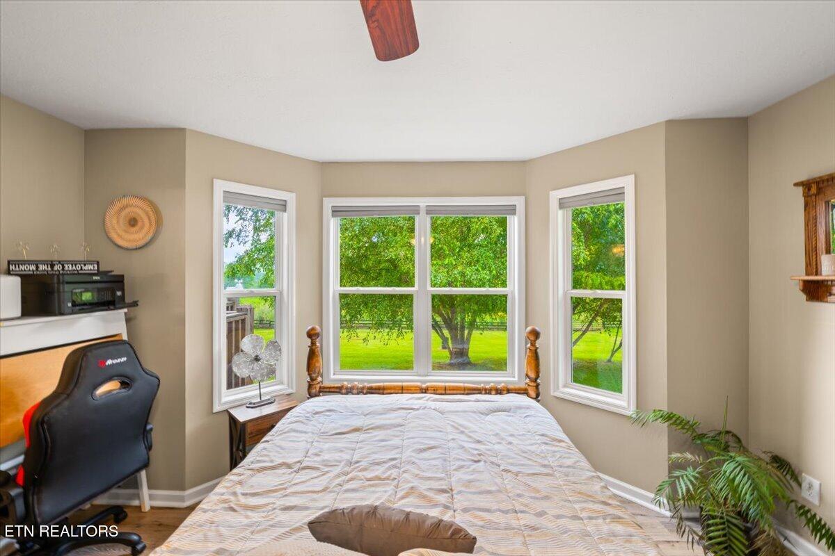 205 Matthew Lane Lafollette TN 37766