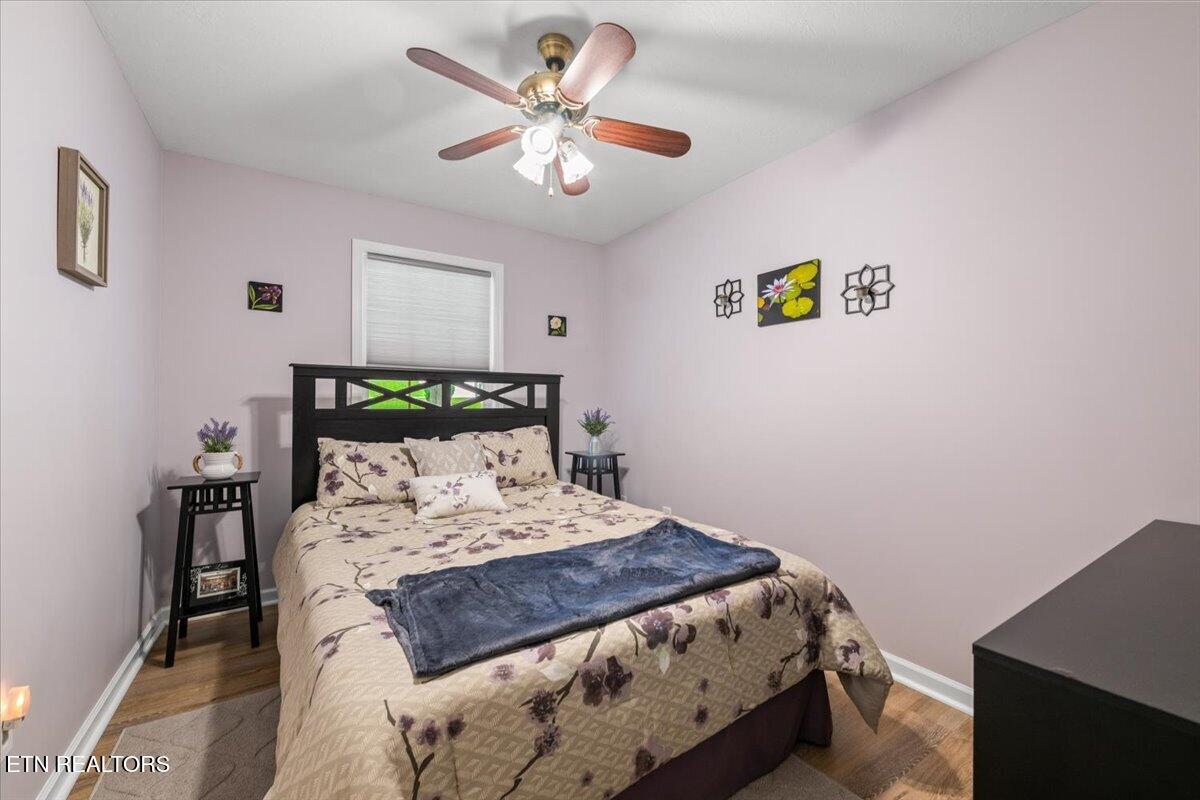 205 Matthew Lane Lafollette TN 37766