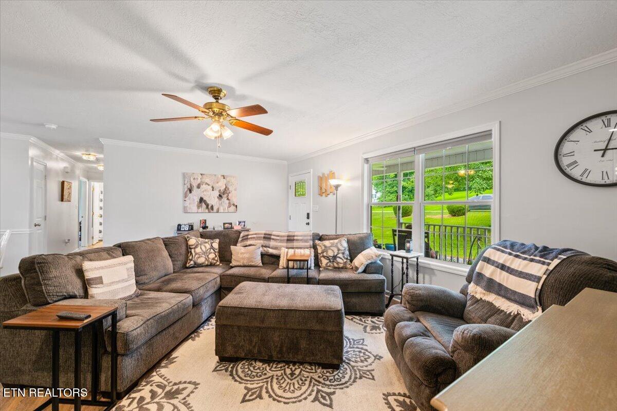 205 Matthew Lane Lafollette TN 37766