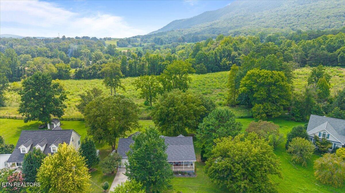 205 Matthew Lane Lafollette TN 37766