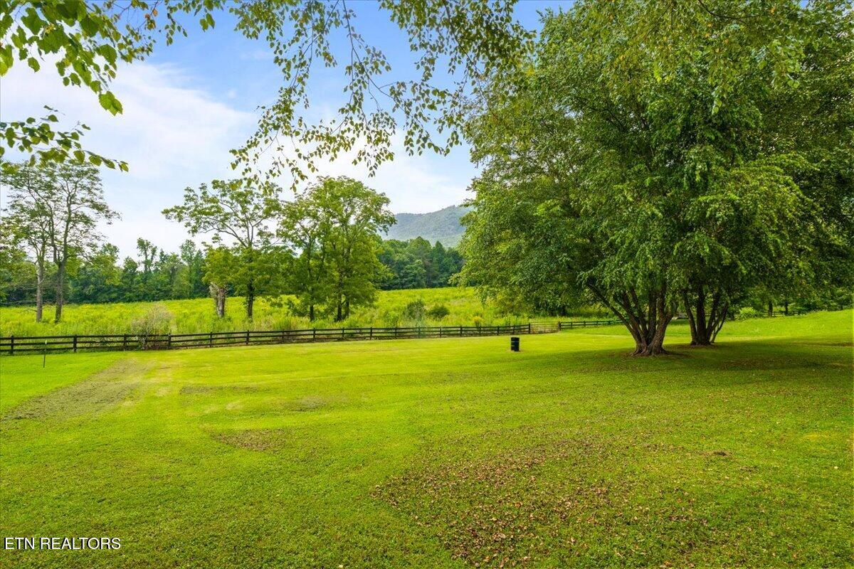 205 Matthew Lane Lafollette TN 37766