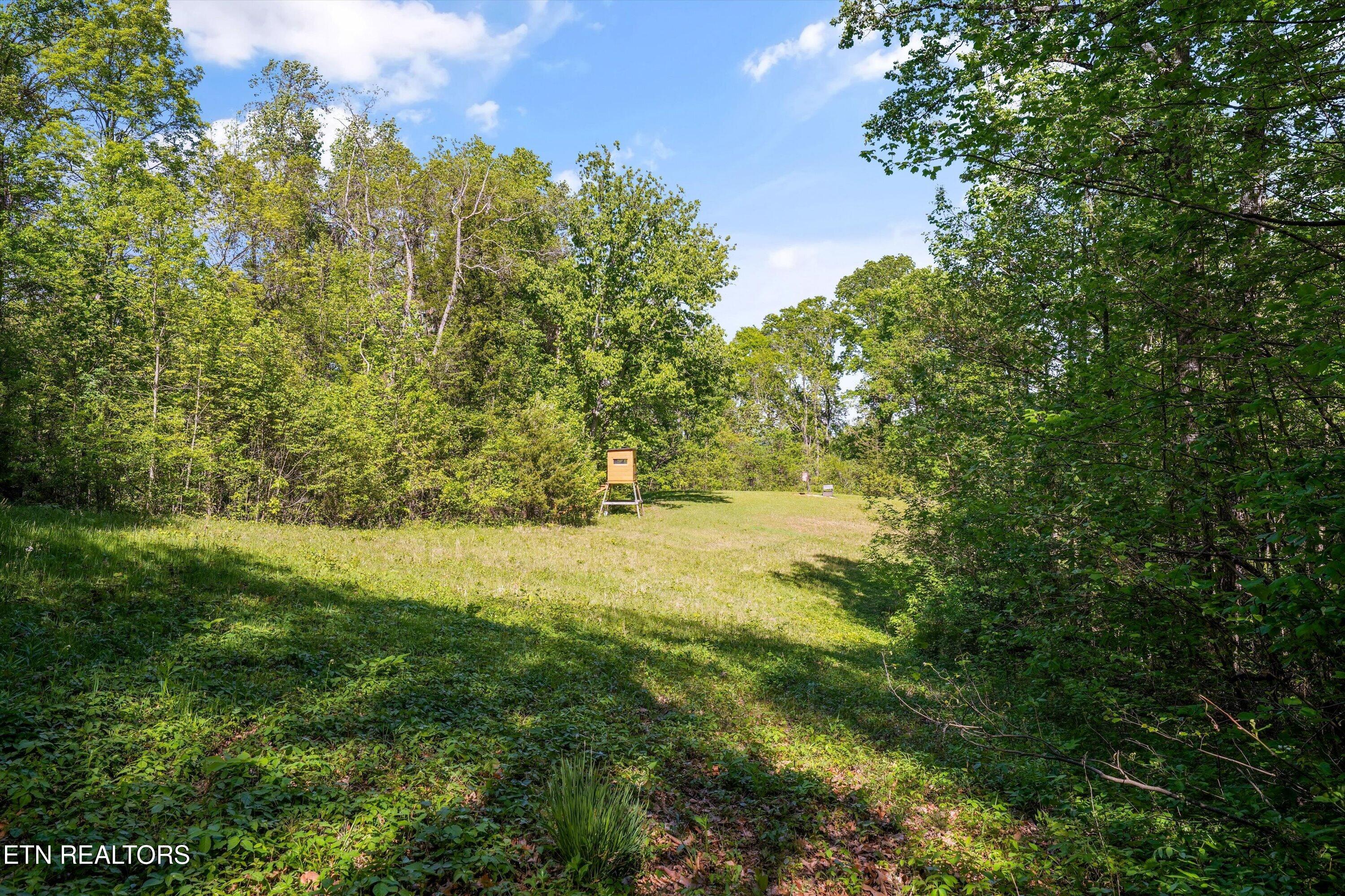 2869 Persian Lane New Market TN 37820
