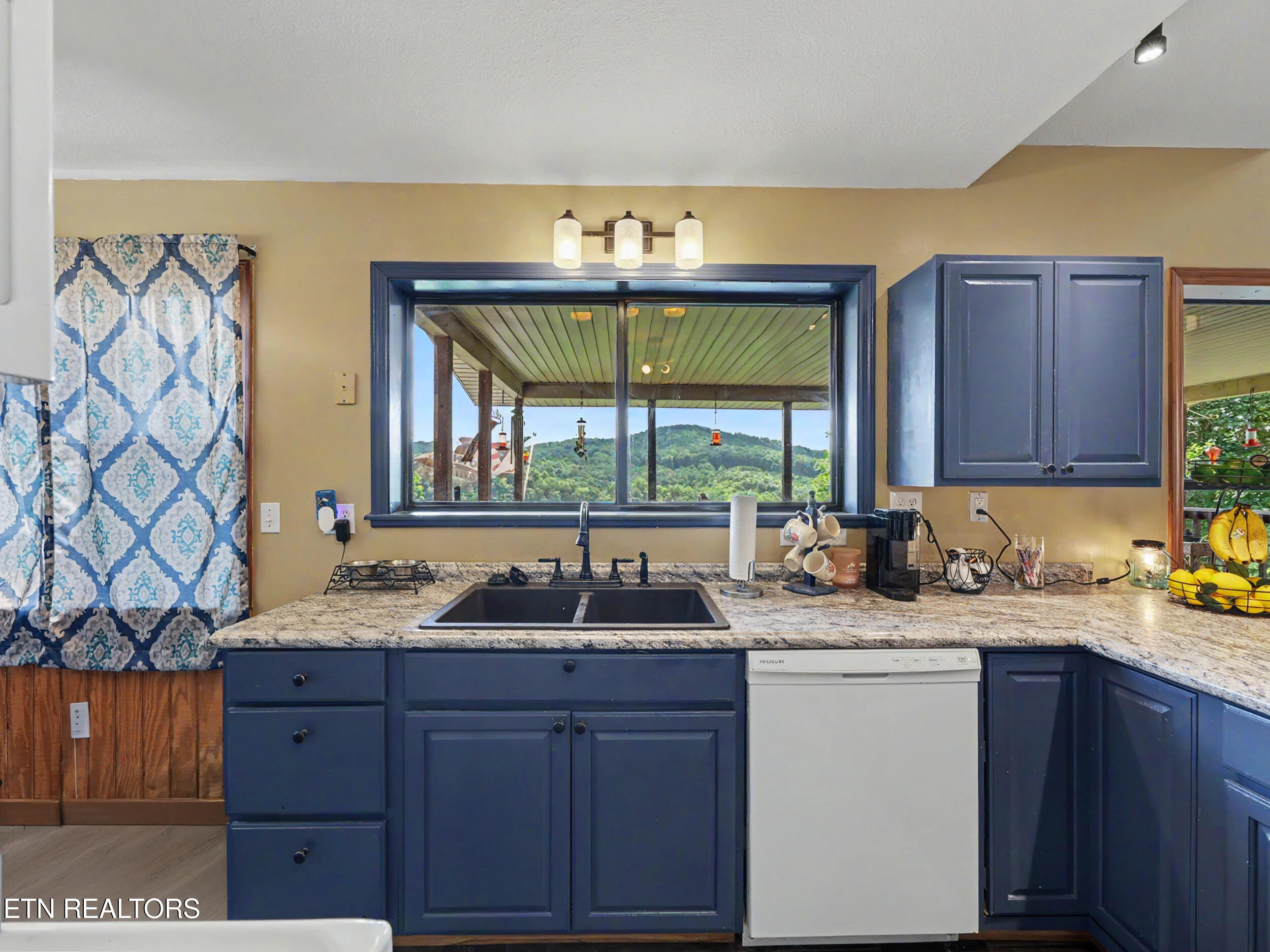 1738 Mountain Shores Road New Tazewell TN 37825