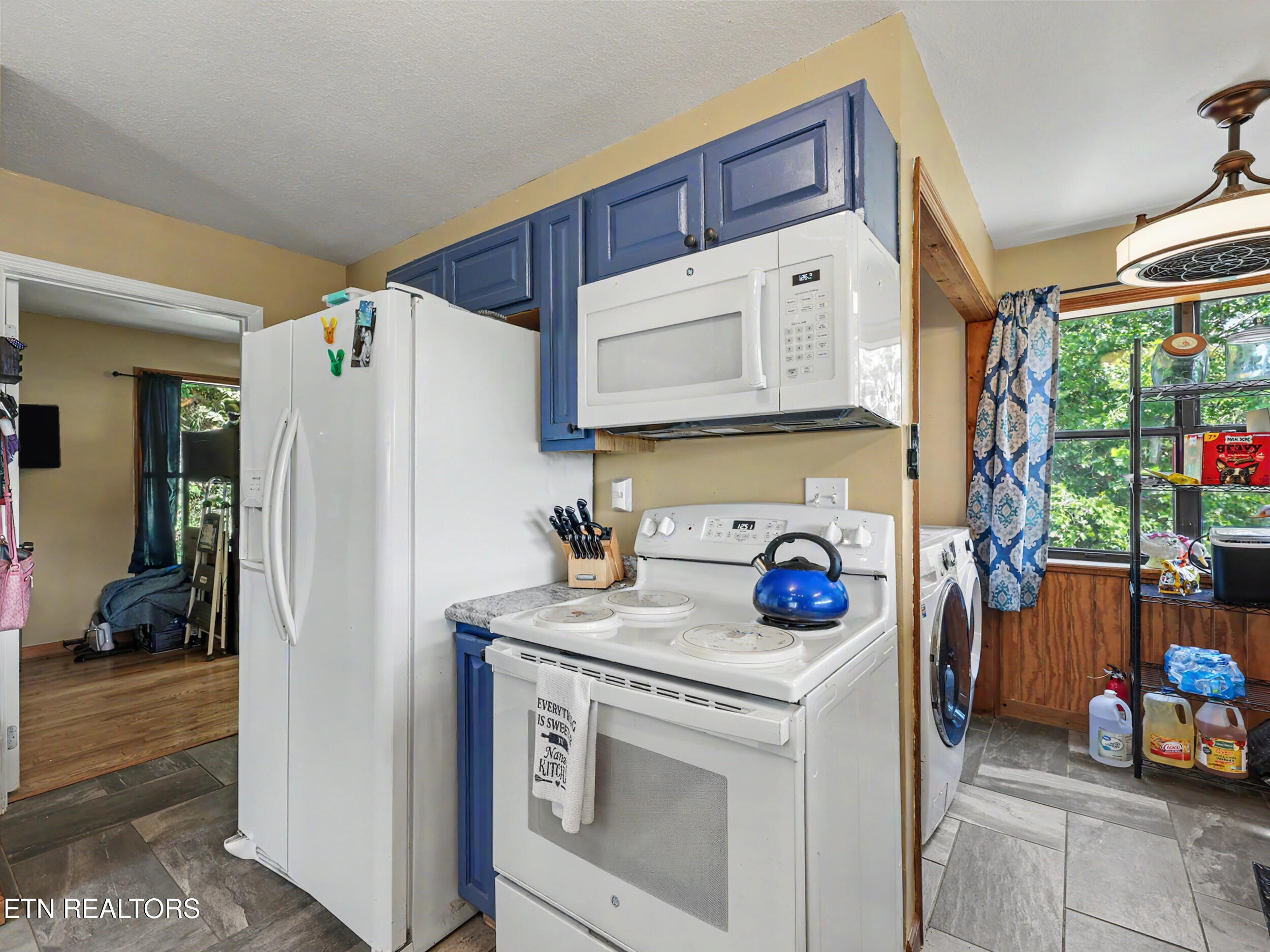 1738 Mountain Shores Road New Tazewell TN 37825