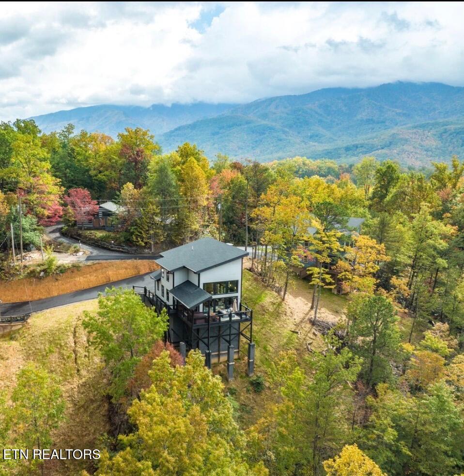 1113 Mathis Hollow Road Gatlinburg TN 37738