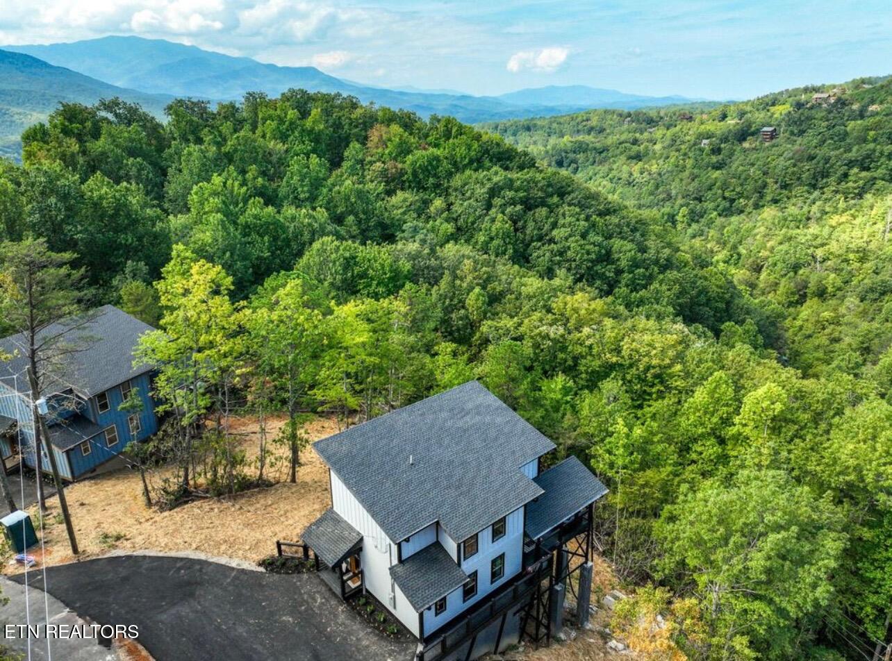1113 Mathis Hollow Road Gatlinburg TN 37738