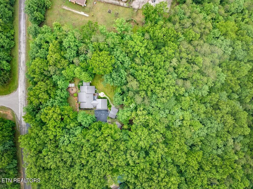 1320 Laurel Way Monterey TN 38574