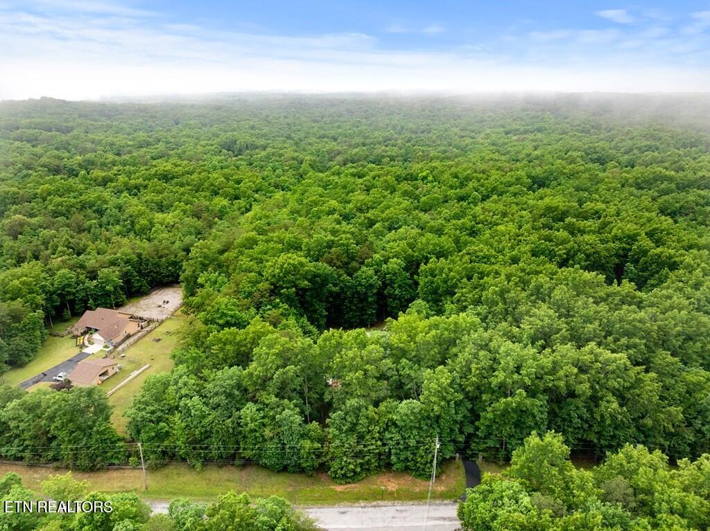 1320 Laurel Way Monterey TN 38574